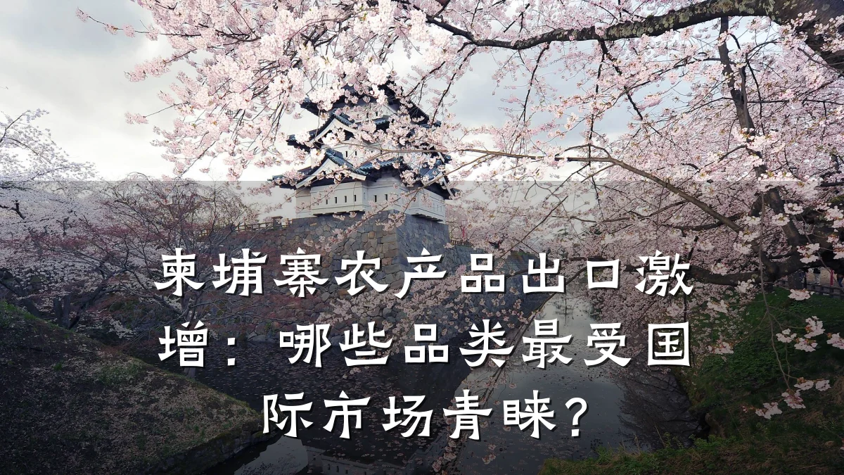 柬埔寨农产品出口激增:哪些品类最受国际市场青睐?