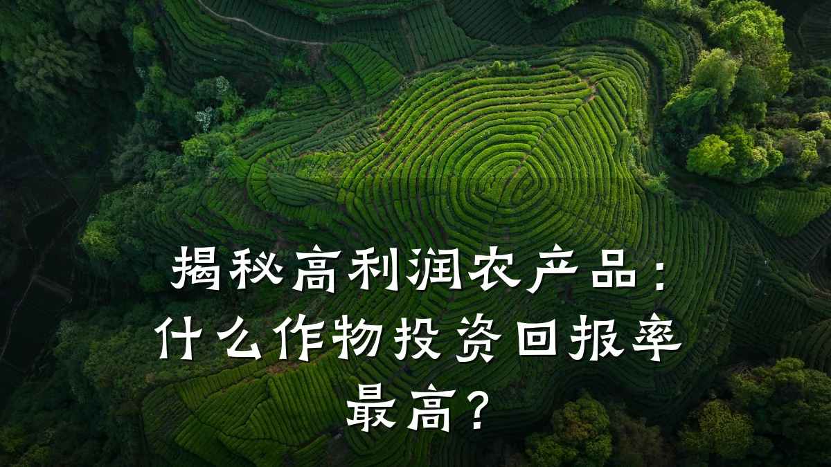 揭秘高利润农产品：什么作物投资回报率最高？
