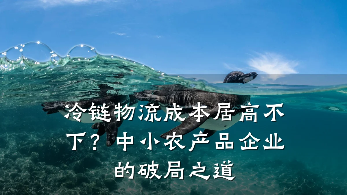 冷链物流成本居高不下？中小农产品企业的破局之道
