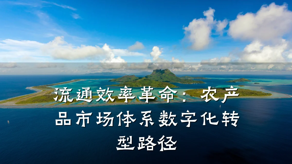 流通效率革命:农产品市场体系数字化转型路径
