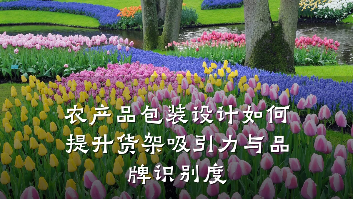 农产品包装设计如何提升货架吸引力与品牌识别度