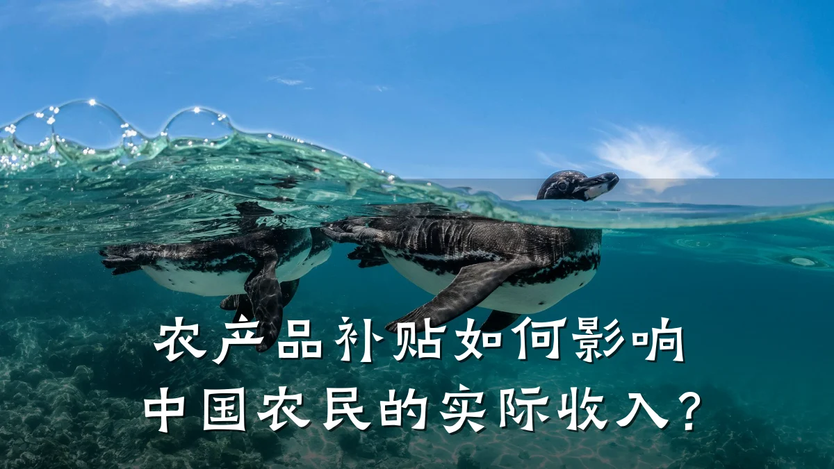 农产品补贴如何影响中国农民的实际收入?