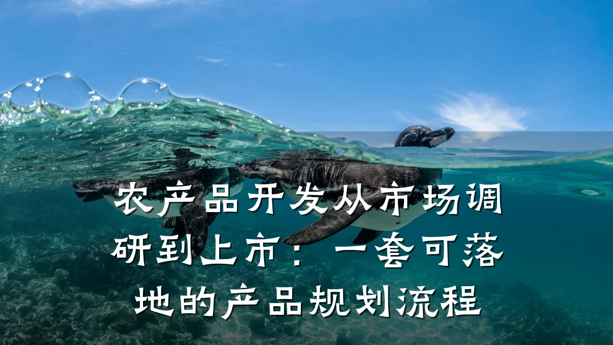 农产品开发从市场调研到上市:一套可落地的产品规划流程