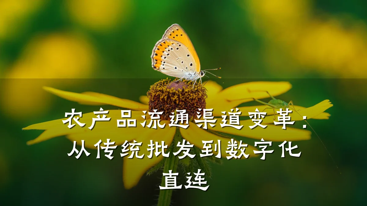 农产品流通渠道变革:从传统批发到数字化直连