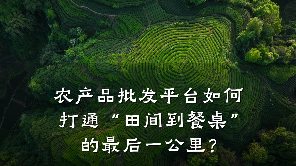 农产品批发平台如何打通“田间到餐桌”的最后一公里?