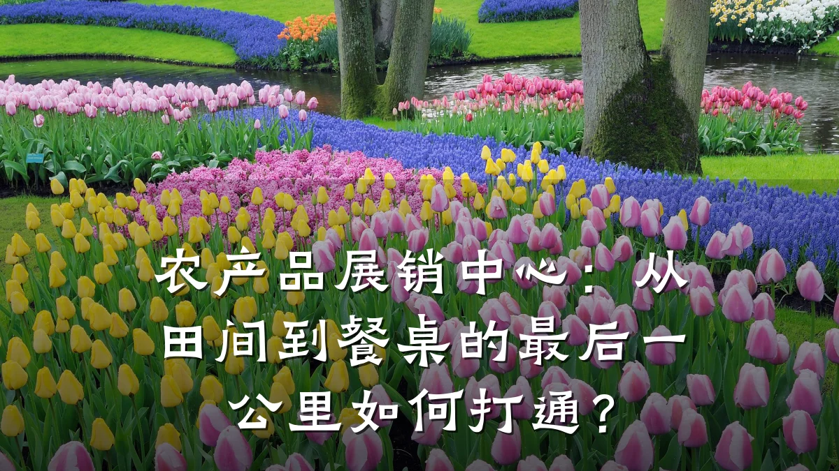 农产品展销中心：从田间到餐桌的最后一公里如何打通？