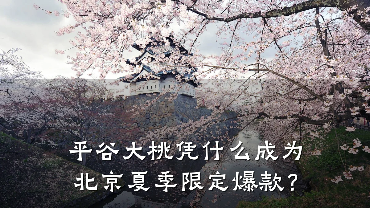平谷大桃凭什么成为北京夏季限定爆款?
