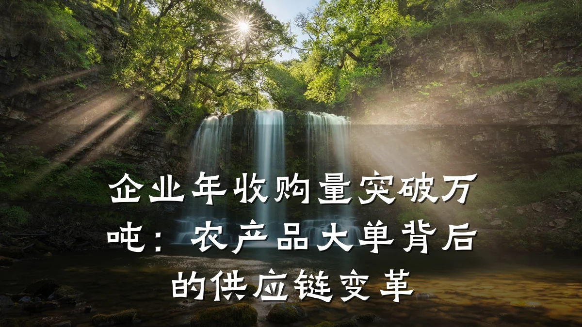 企业年收购量突破万吨:农产品大单背后的供应链变革