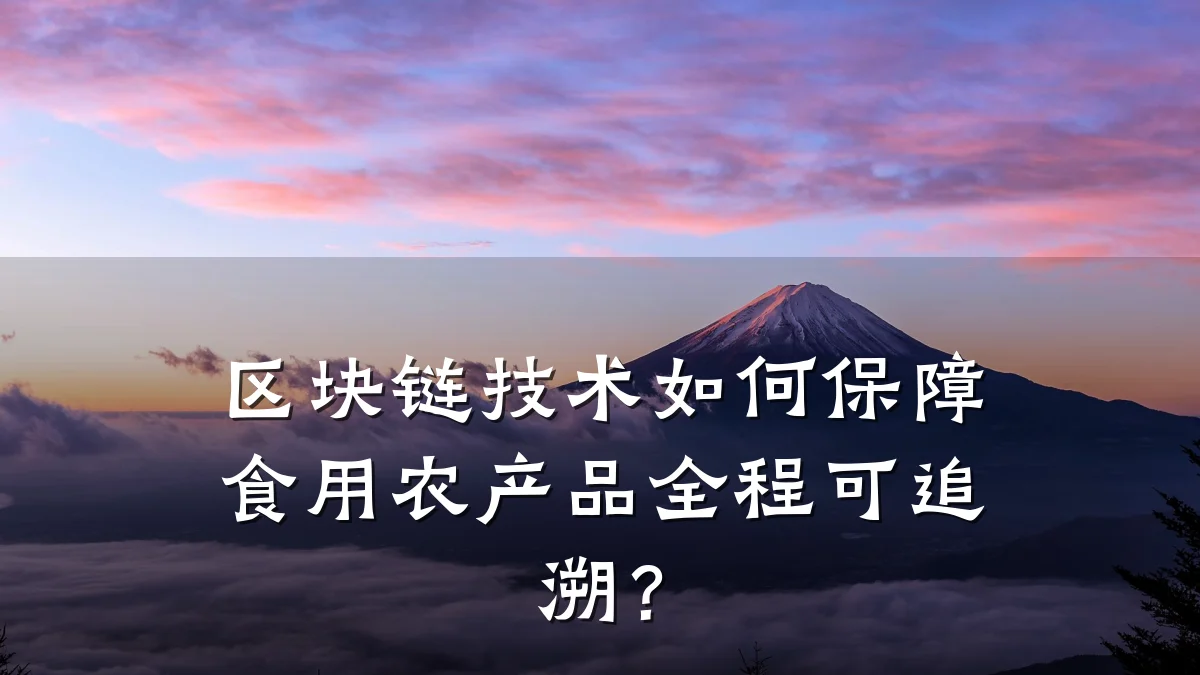 区块链技术如何保障食用农产品全程可追溯？