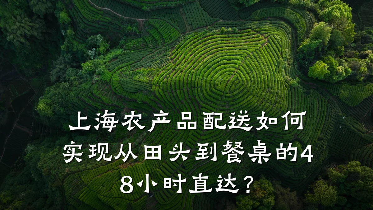 上海农产品配送如何实现从田头到餐桌的48小时直达?