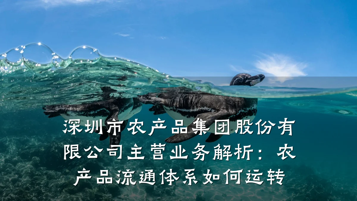 深圳市农产品集团股份有限公司主营业务解析:农产品流通体系如何运转