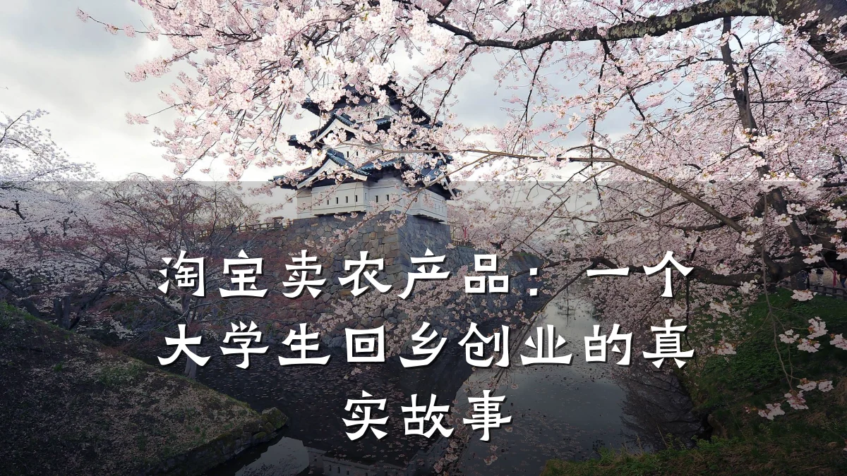 淘宝卖农产品：一个大学生回乡创业的真实故事