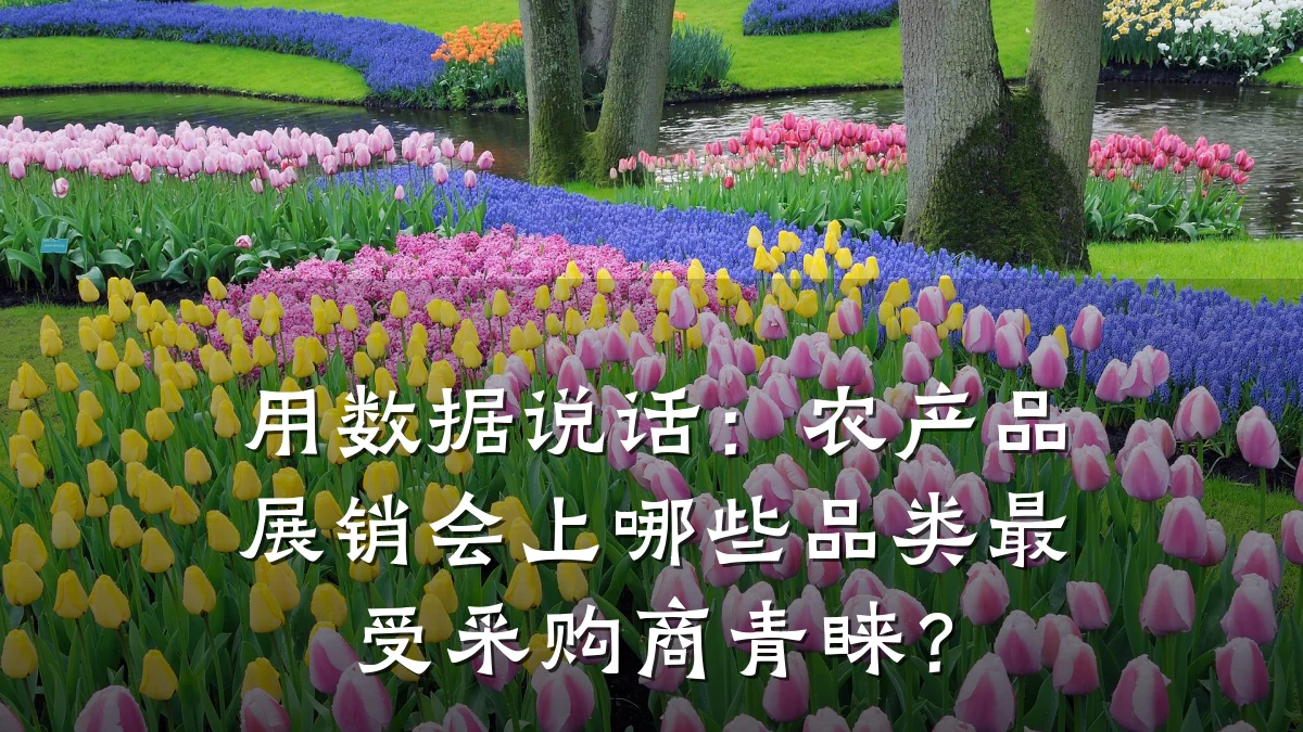 用数据说话:农产品展销会上哪些品类最受采购商青睐?