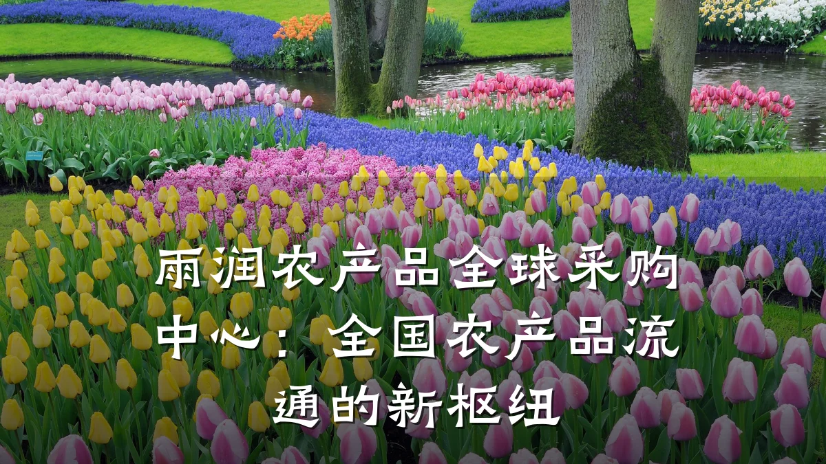 雨润农产品全球采购中心：全国农产品流通的新枢纽