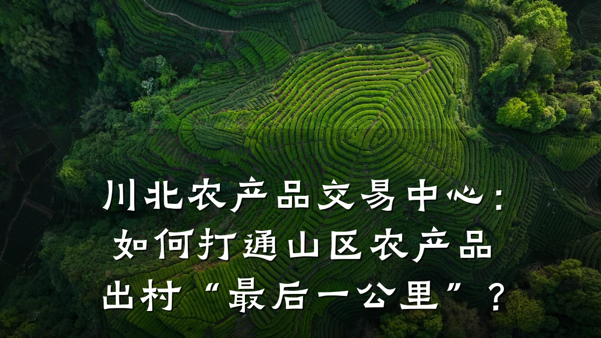 川北农产品交易中心：如何打通山区农产品出村“最后一公里”？