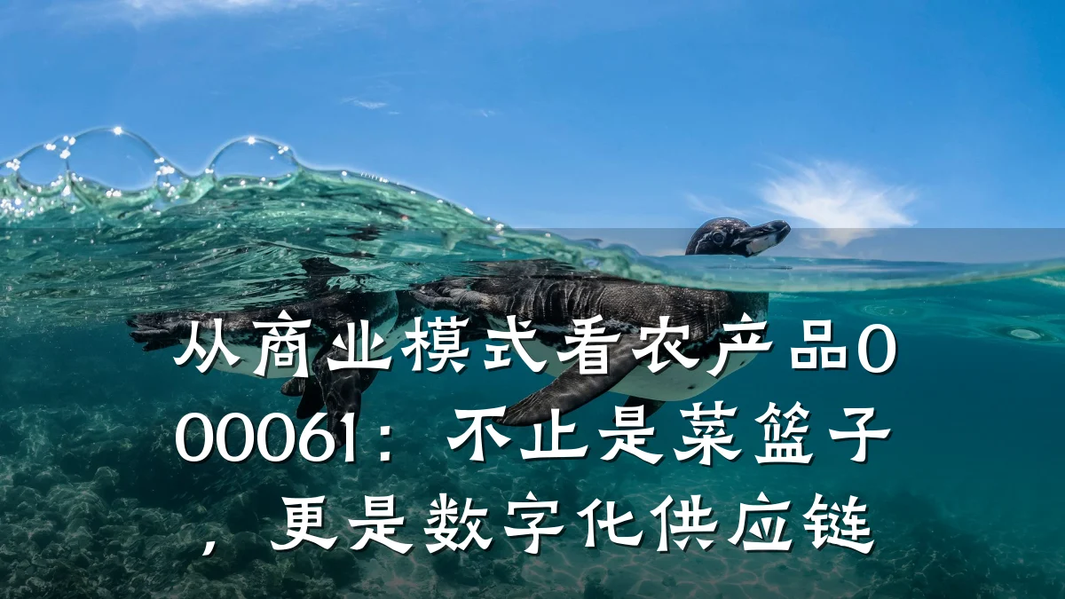 从商业模式看农产品000061:不止是菜篮子,更是数字化供应链
