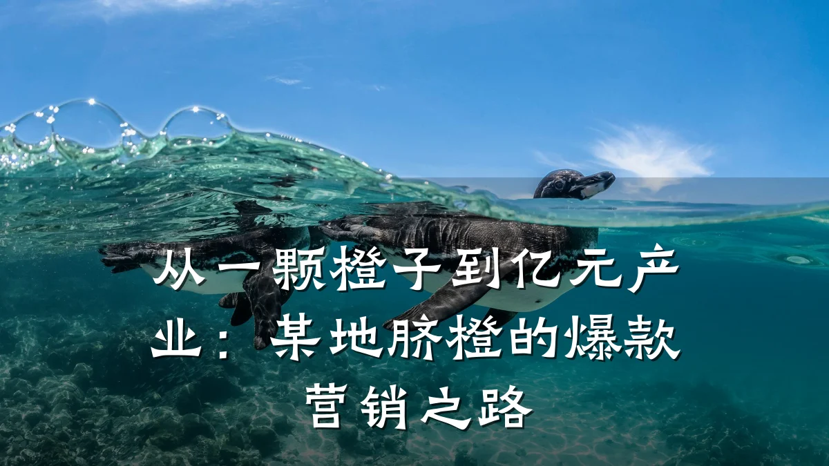 从一颗橙子到亿元产业：某地脐橙的爆款营销之路