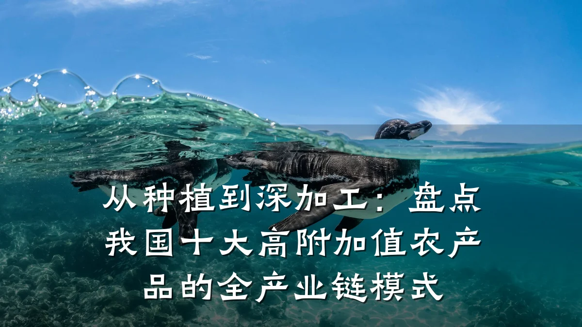 从种植到深加工：盘点我国十大高附加值农产品的全产业链模式