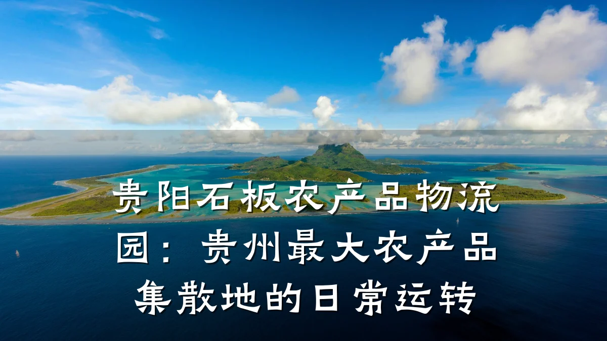 贵阳石板农产品物流园:贵州最大农产品集散地的日常运转