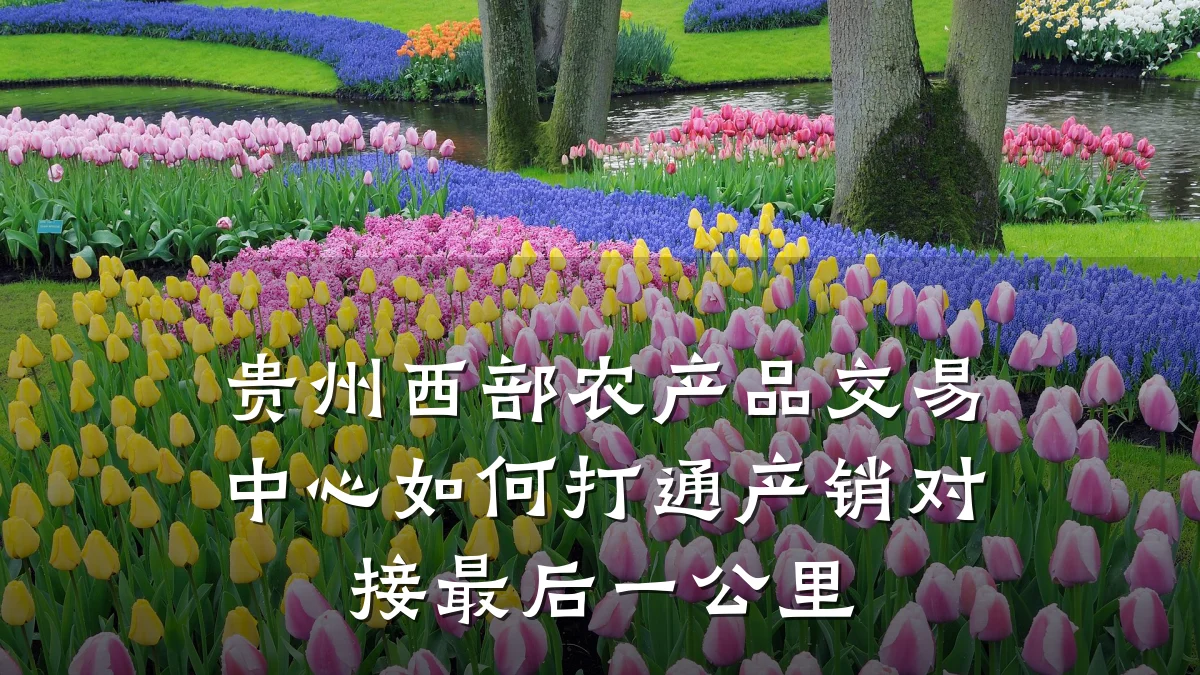 贵州西部农产品交易中心如何打通产销对接最后一公里