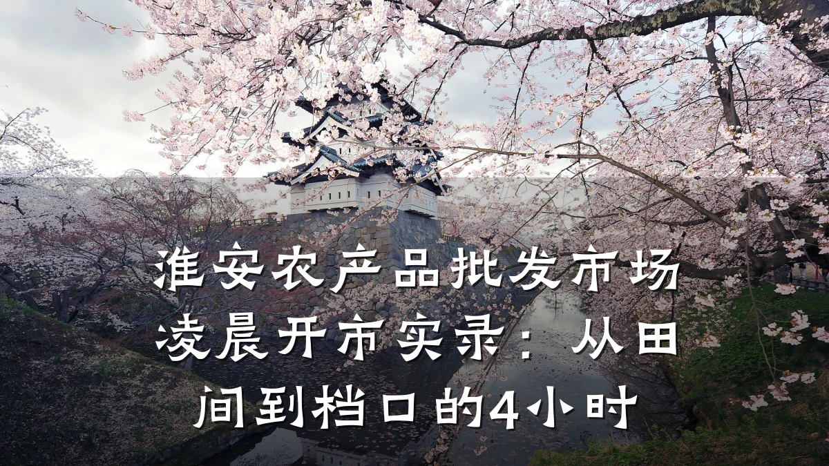 淮安农产品批发市场凌晨开市实录:从田间到档口的4小时