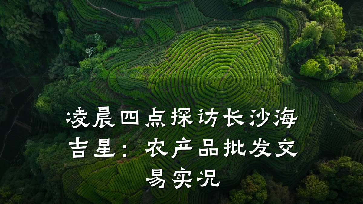 凌晨四点探访长沙海吉星:农产品批发交易实况