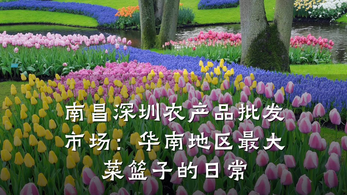 南昌深圳农产品批发市场:华南地区最大菜篮子的日常
