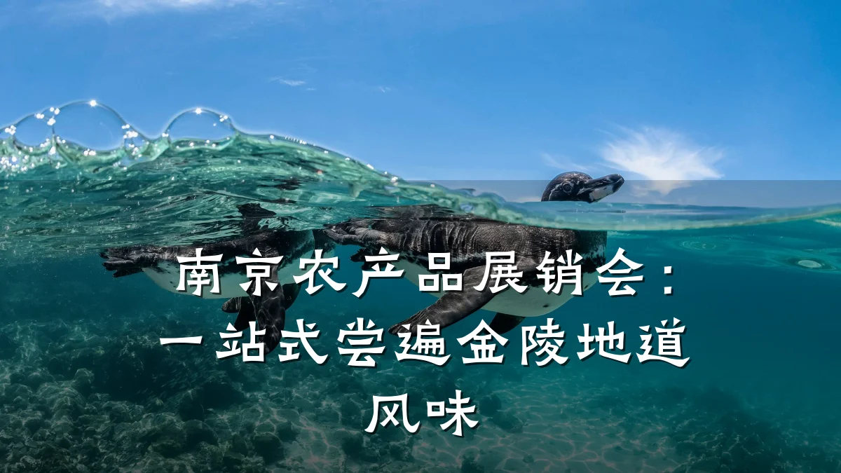 南京农产品展销会：一站式尝遍金陵地道风味