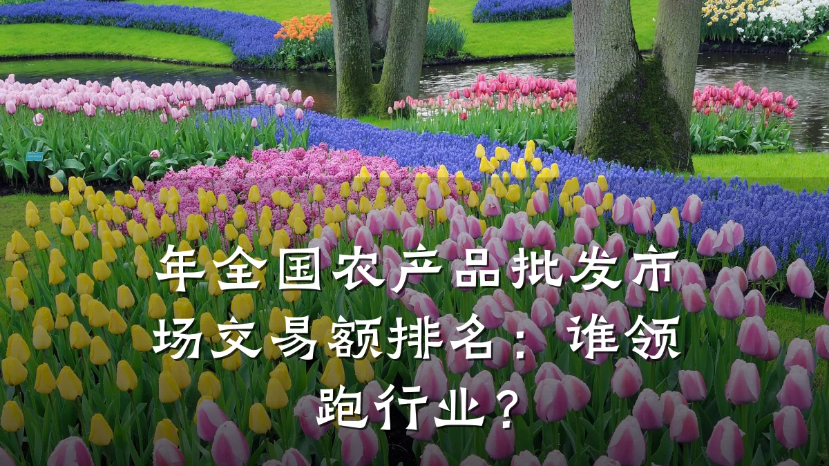 年全国农产品批发市场交易额排名:谁领跑行业?