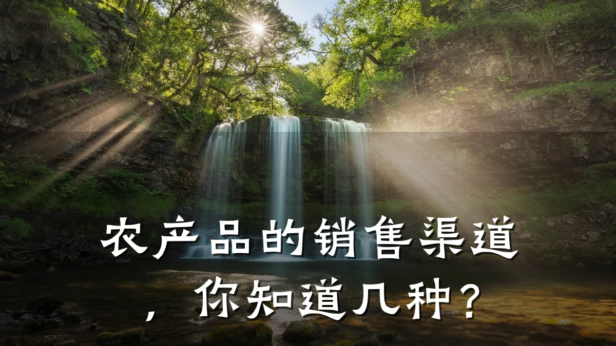 农产品的销售渠道,你知道几种?