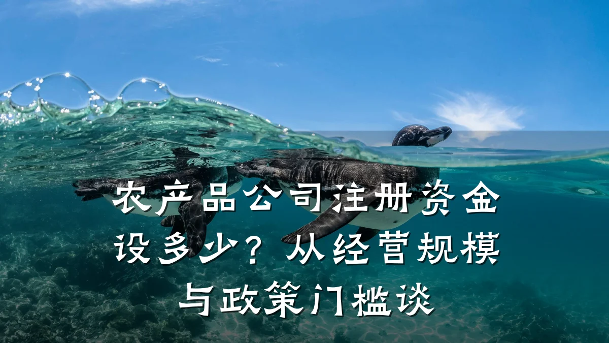 农产品公司注册资金设多少?从经营规模与政策门槛谈
