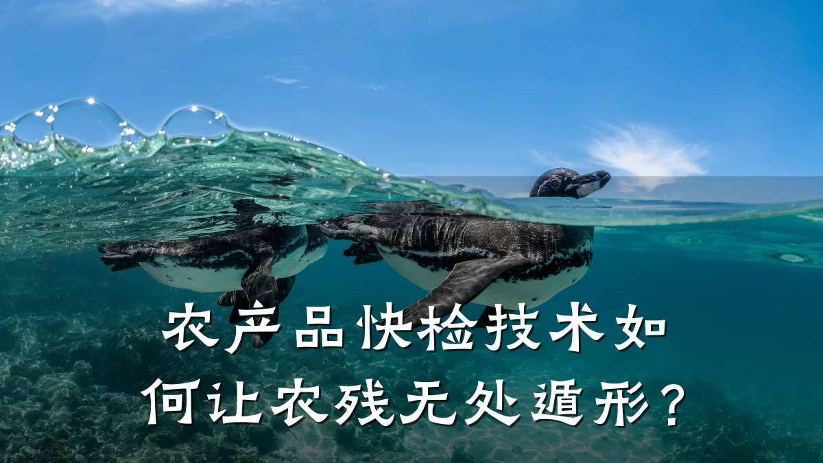 农产品快检技术如何让农残无处遁形?