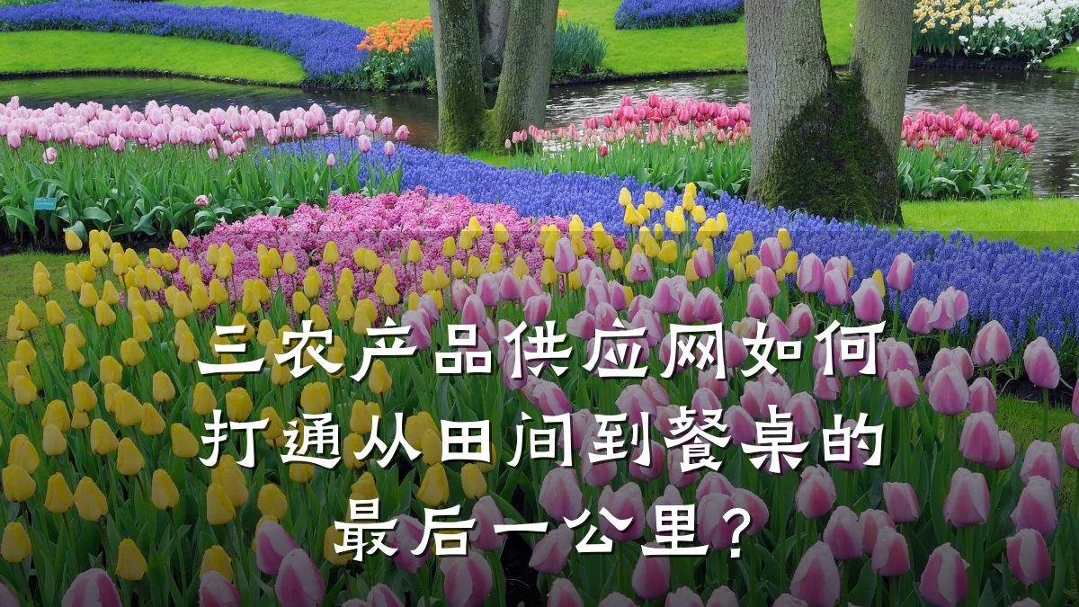 三农产品供应网如何打通从田间到餐桌的最后一公里?