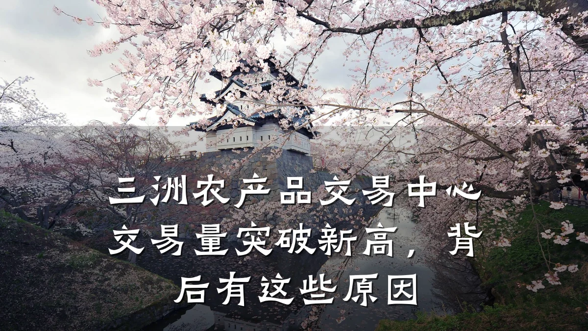 三洲农产品交易中心交易量突破新高，背后有这些原因