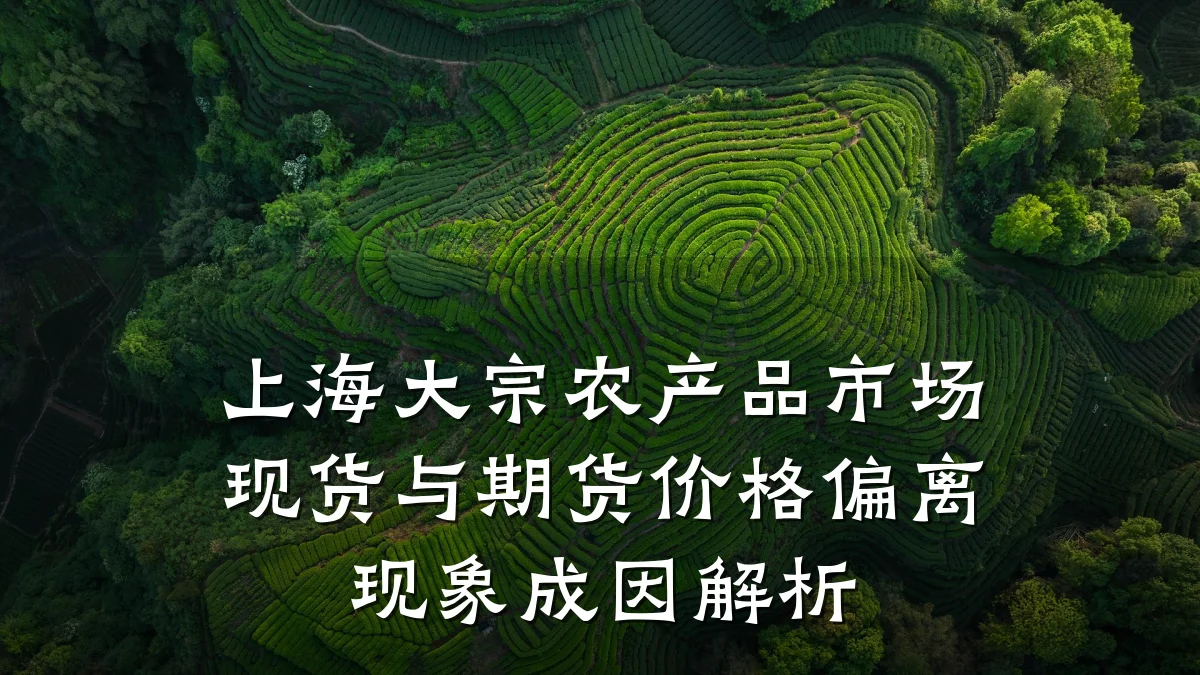 上海大宗农产品市场现货与期货价格偏离现象成因解析