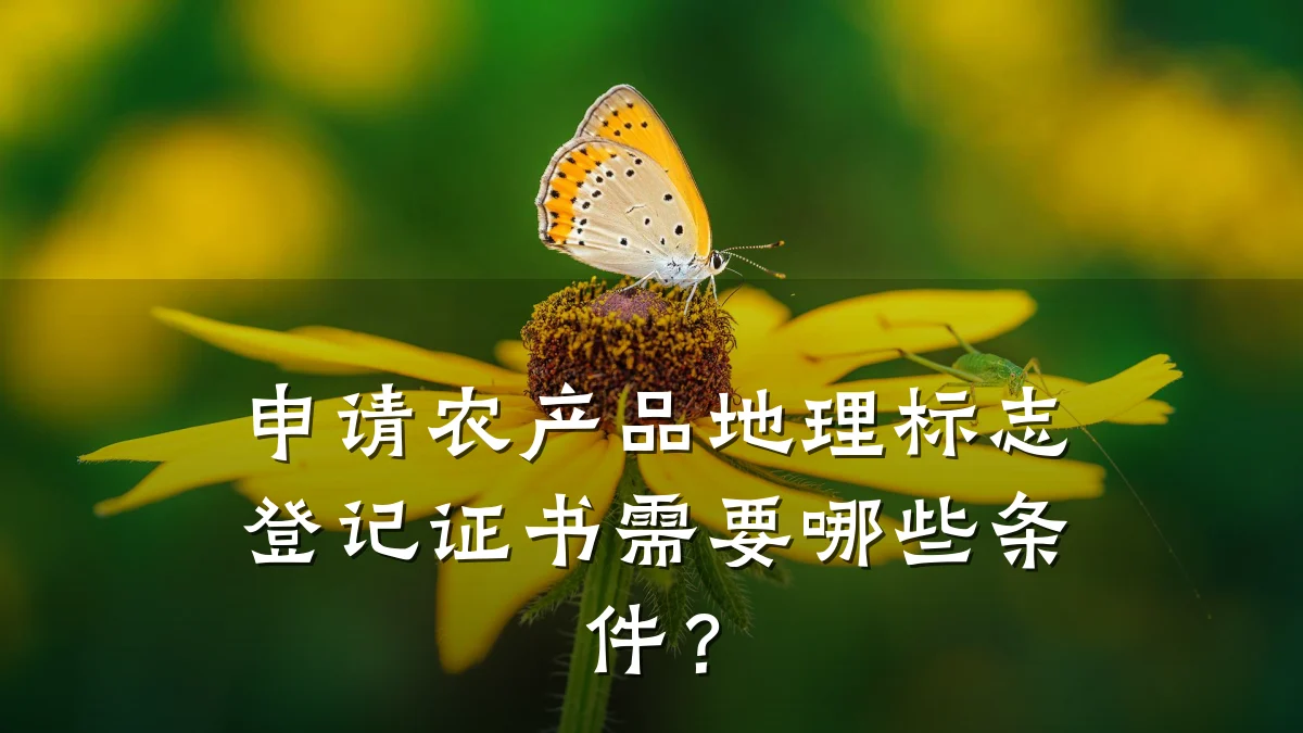 申请农产品地理标志登记证书需要哪些条件?
