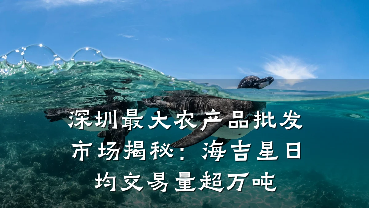 深圳最大农产品批发市场揭秘：海吉星日均交易量超万吨