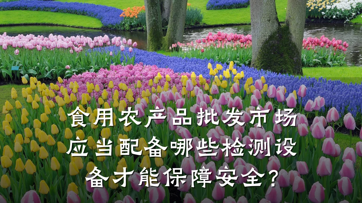 食用农产品批发市场应当配备哪些检测设备才能保障安全?
