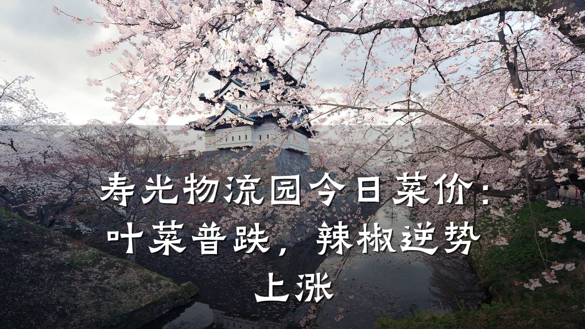 寿光物流园今日菜价:叶菜普跌,辣椒逆势上涨