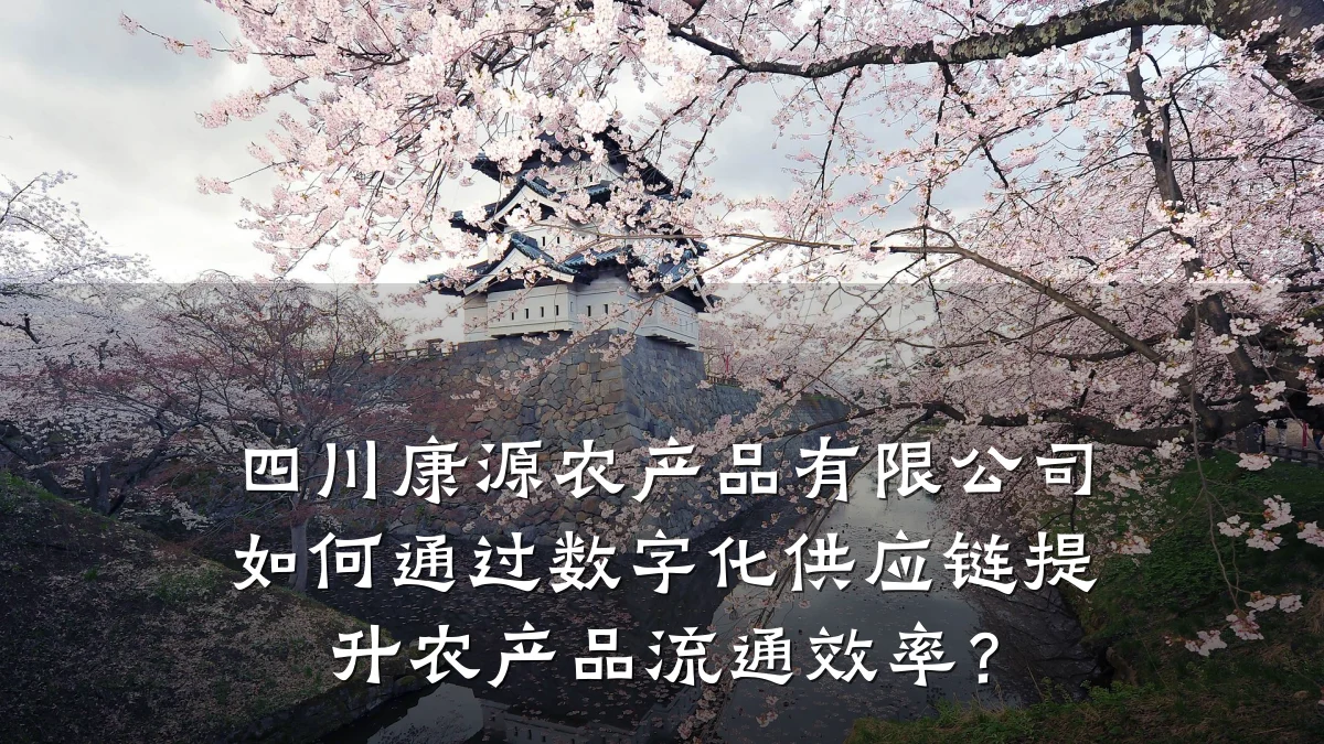 四川康源农产品有限公司如何通过数字化供应链提升农产品流通效率？