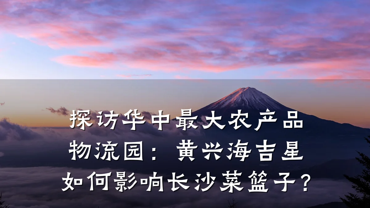 探访华中最大农产品物流园:黄兴海吉星如何影响长沙菜篮子?