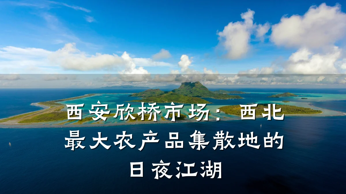 西安欣桥市场：西北最大农产品集散地的日夜江湖