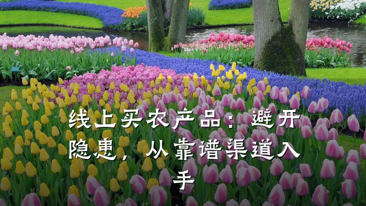 线上买农产品：避开隐患，从靠谱渠道入手