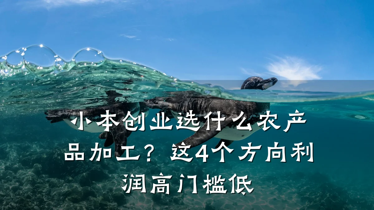小本创业选什么农产品加工?这4个方向利润高门槛低