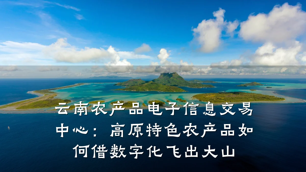 云南农产品电子信息交易中心：高原特色农产品如何借数字化飞出大山