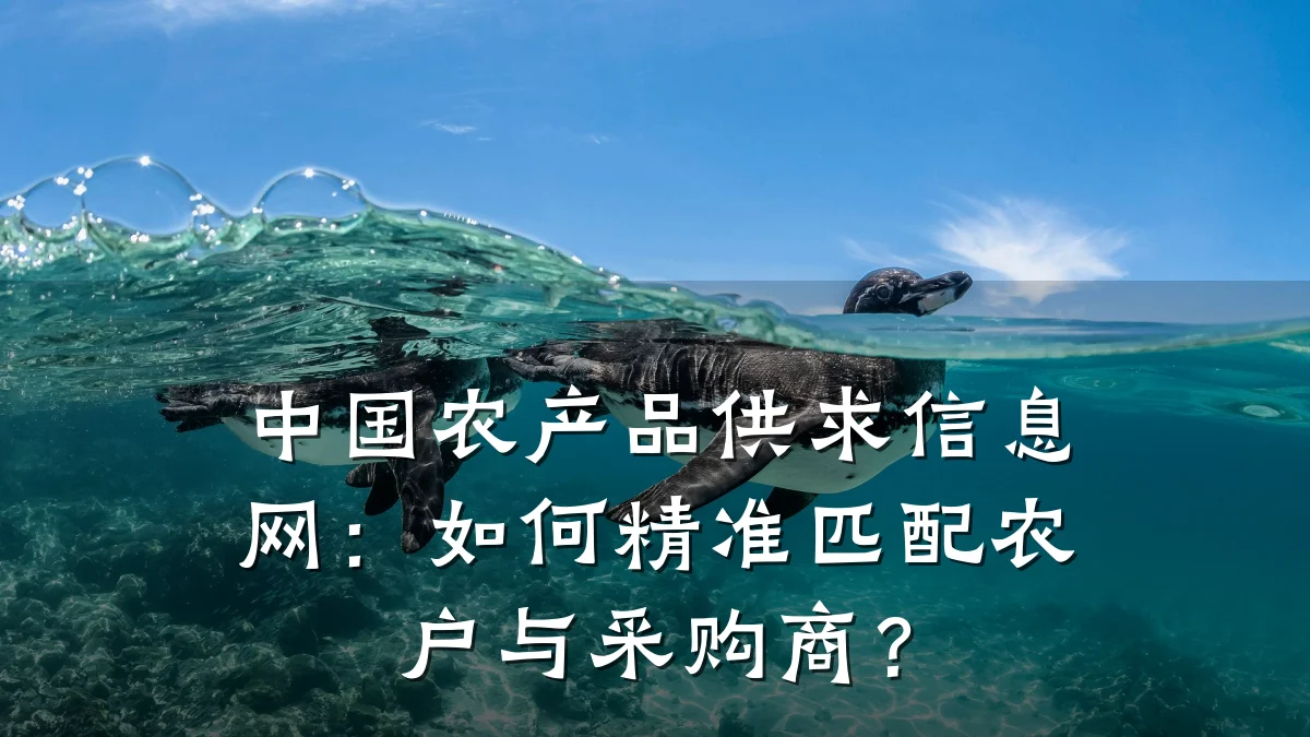中国农产品供求信息网:如何精准匹配农户与采购商?