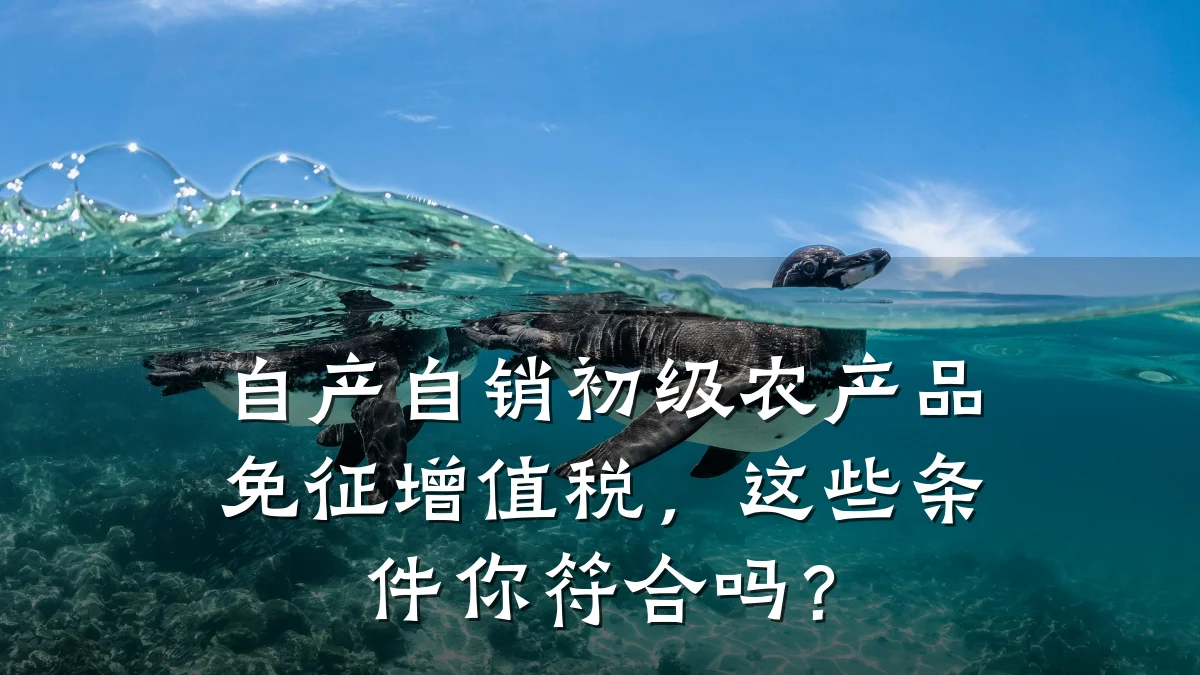 自产自销初级农产品免征增值税，这些条件你符合吗？