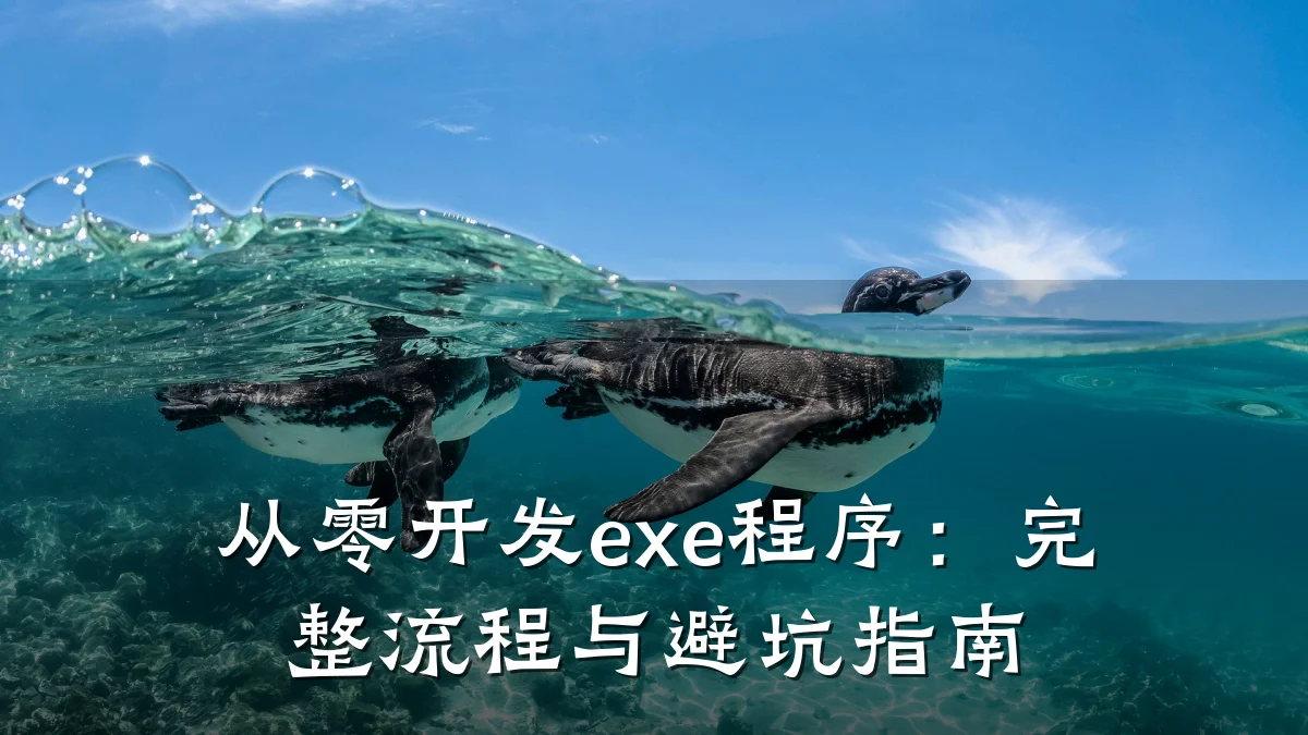 从零开发exe程序:完整流程与避坑指南