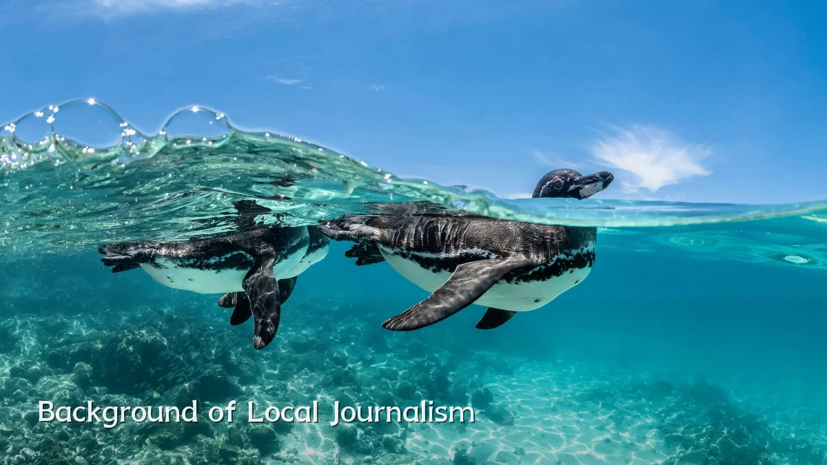 Background of Local Journalism