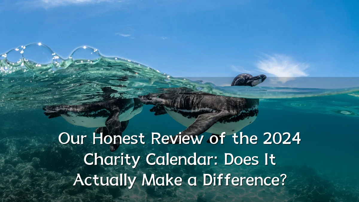 Our Honest Review of the 2024 Charity Calendar: Does It Actually Make a Difference?